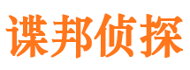 维扬市侦探公司